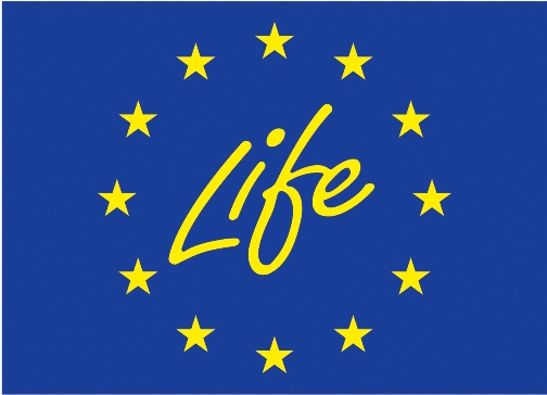 life_logo.jpg